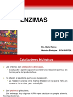 ENZIMAS 