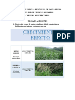 Tarea Pastos de Crecimiento y Erectos