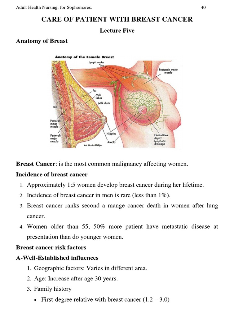 Understanding Breast Cancer Care | PDF | Breast Cancer | Carcinoma