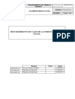 09-Procedimiento Accidente Grave o Fatal