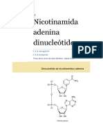 Nicotinamida adenina dinucleótido