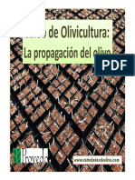 Curso de Olivicultura. La Propagacion Del Olivo Web Bueno