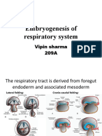 Vipin Sharma Embryogenesis of Respiratory System