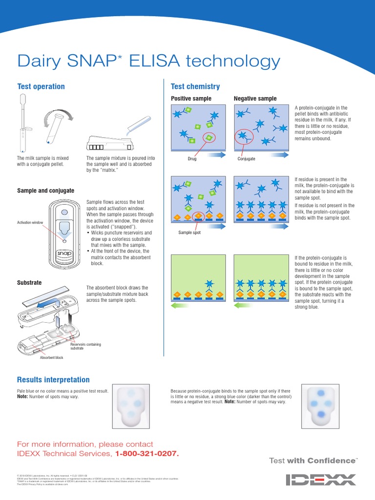 Snap Elisa Technology PDF Elisa Cell Biology