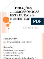 Alterações Cromossômicas Estruurais e Numéricas. Bruna Lima Barbosa (1)