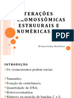 Alterações Cromossômicas Estruurais e Numéricas. Bruna Lima Barbosa (1)