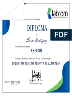 Diploma Curso Miniprinters