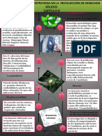 Infografia Capitulo III