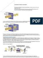 TP Polarimetria