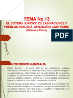 Tema 13