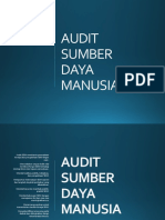 Audit SDM