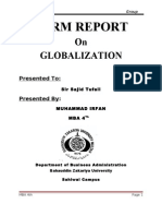 Term Report on Globalization