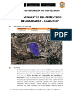 TDR-01-2021 PLAN MAESTRO ANDAMARCA - Observaciones