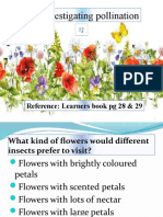 Investigating which flowers insects prefer to pollinate