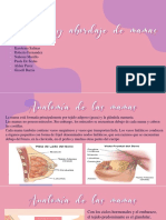 Anatomía y Abordaje de Mamas