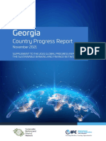 Georgia: Country Progress Report