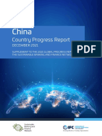 China: Country Progress Report