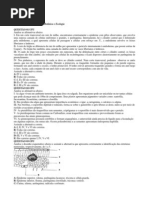 Exercícios Botânica