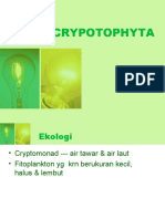 Crypto