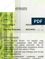 Cryptomonads N Haptophyta