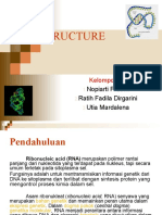 Struktur RNA Bagian Ratih (Kel.8)
