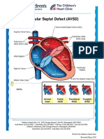 Atrioventricular Spetal Defect Avsd Partial