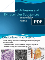 7 Cell Adhesion and Extracelluler Substances PDF-dikonversi