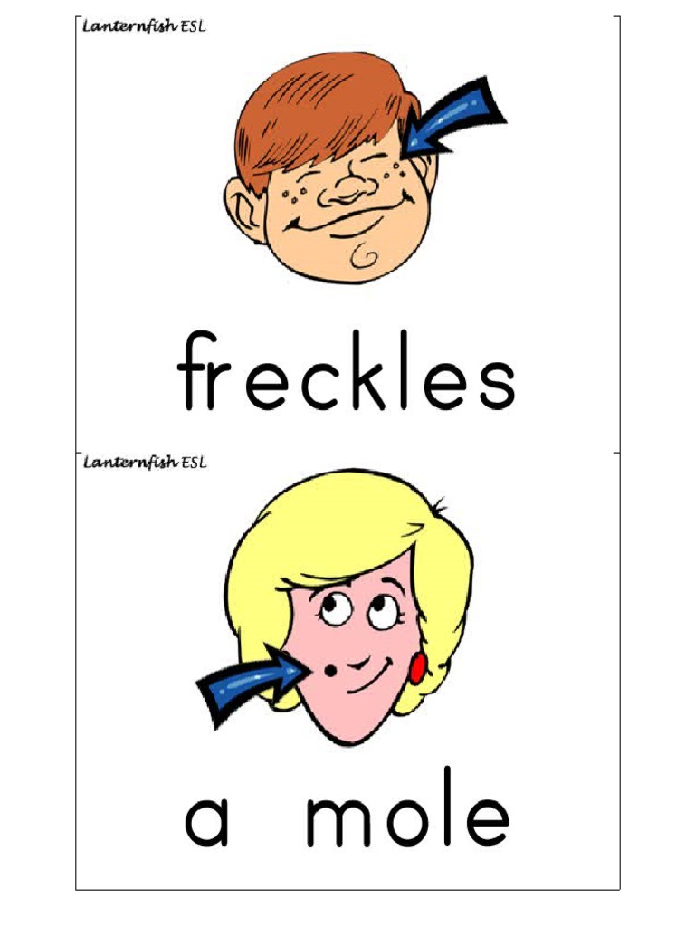 Unit 1 Appearance And Personality Flashcards Or Quizlet