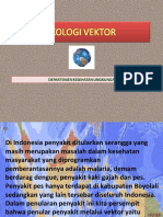 Ekologi Vektor-2