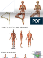 Generalidades Anatómicas T.O