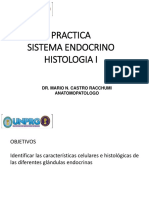 P Ractica Endocrino Histologia