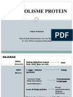 Protein Metabolism