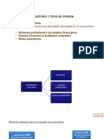 Informe de Auditoría y Tipos de Opinión