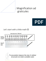 Cells: Magnification Ad Graticules