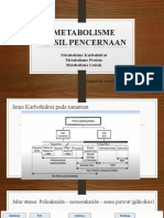 Metabolisme Hasil Hasil Pencernaan
