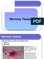 Nervous Tissues