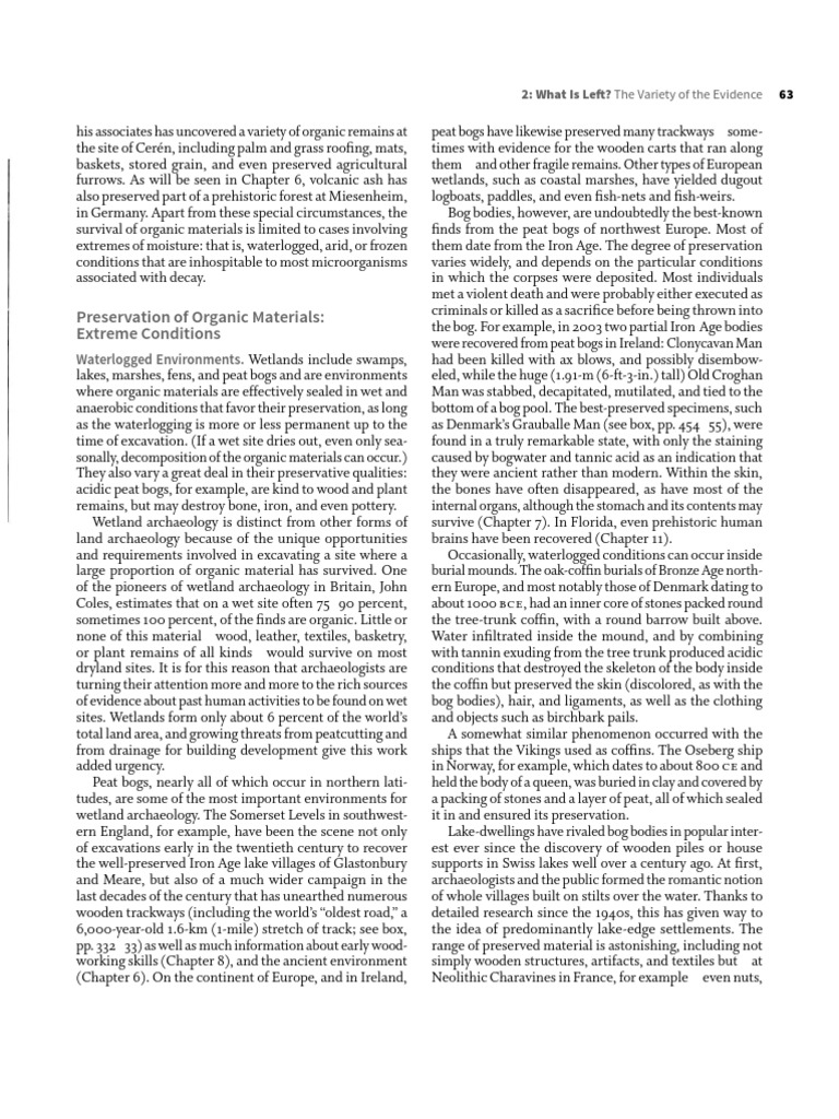 Preservation of Organic Materials | PDF | Archaeology | Artifact ...