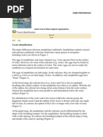 Download Different of Larvae by syazlinna SN54862503 doc pdf