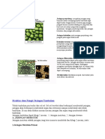 Download Jaringan Penyokong by Fahmi Rahma SN54863112 doc pdf