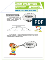 Celomados Moluscos Para Segundo de Secundaria