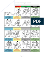 Jujitsu 20 Techniques Imposes