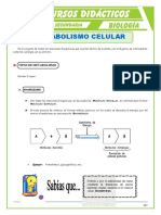 Metabolismo-Celular-para-Cuarto-de-Secundaria