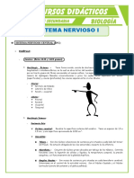 El Sistema Nervioso Central Para Quinto de Secundaria