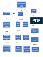 Mapa Conceptual