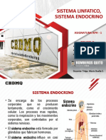 Sistema Endocrino y Linfatico Expo