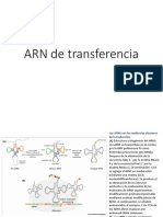 Arn Transferencia