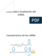 mRNA Estabilidad