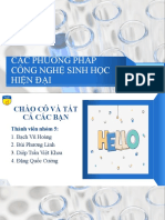 Các Phương Pháp Lai Phân T 1