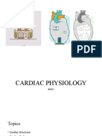 Cardiac Physiology 1-Process