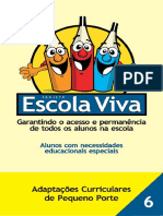 Adaptações Curriculares de Pequeno Porte